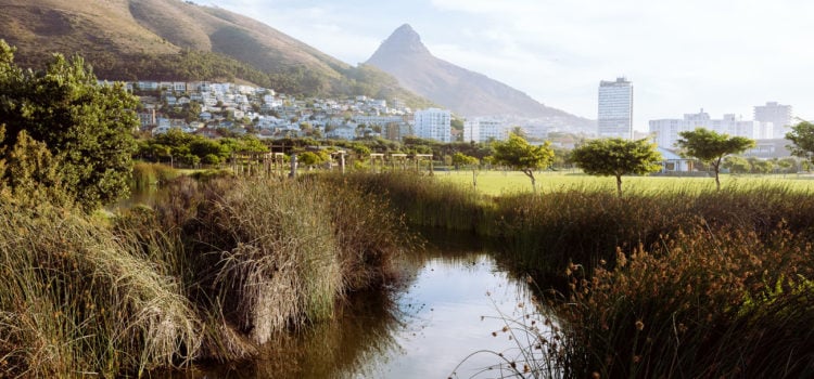 Cape Town named one of the 10 greenest cities in the world.
